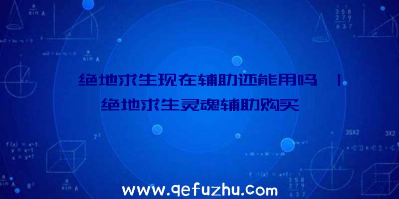 「绝地求生现在辅助还能用吗」|绝地求生灵魂辅助购买